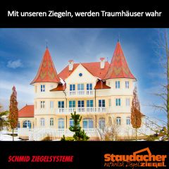 Mit unseren Ziegeln, werden Traumhäuser wahr